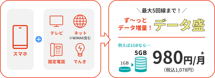 ず〜っとデータ増量！データ盛｜5GB：980円(税込1,078円)/月